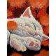 thumbnail image 1 of Cuadros Decorativos 5D bricolaje taladro redondo completo diamante pintura gato Kit decoración del hogar arte artesanía Wdftyju de costura negro 4 estilos, 1 of 8