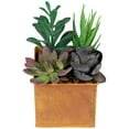 thumbnail image 5 of Northlight 7" Mixed Succulent Artificial Potted Arrangement - Green/Black, 5 of 8