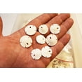 thumbnail image 2 of Set of 6 Small White Florida "Keyhole" Sand Dollars 3/4-1" Beach Weddings Crafts Nautical Decor, 2 of 3