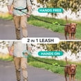 thumbnail image 6 of PetAmi Hands Free Dog Leash with Padded Lumbar Waist Belt, Shock Absorbing Bungee, Quick Release Buckle, Dual Handle, Running Jogging Walking Leash for Medium Large Dogs Up to 125 lbs, Purple, 6 of 8