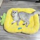 thumbnail image 1 of Cama para gatos, suave y esponjoso, para todas las estaciones, bonito patrón de dibujos animados, cojín para mascotas, gatos, perros, Ananas de tamaño pequeño, 1 of 5