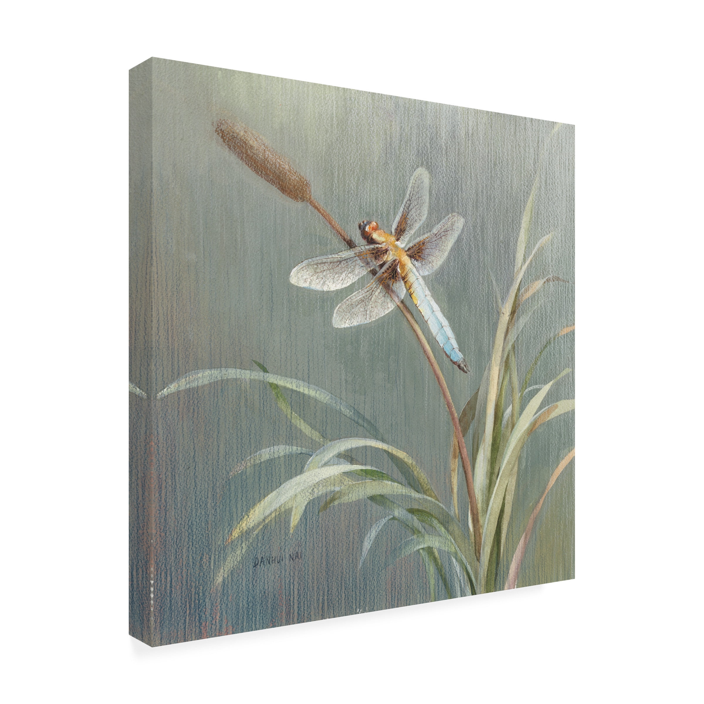 Trademark Fine Art 'Natural Detail IV' Canvas Art by Danhui Nai