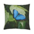 thumbnail image 2 of Ahgly Company Insects Butterfly Indoor Throw Pillow, 18 inch by 18 inch, 2 of 6