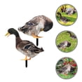 thumbnail image 3 of 2Pcs Garden Duck Stake Decoration Ground Insert Lifelike Acrylic Duck Stakes, 3 of 4