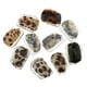 thumbnail image 2 of 10 Piezas de Resina, Agujero Pretadrado, Hará Que Sus Artesanías Funcionmente, Puede una Joyería Hecha - 1 1 Gloria Abalorio de leopardo de cuentas de resina, 2 of 9