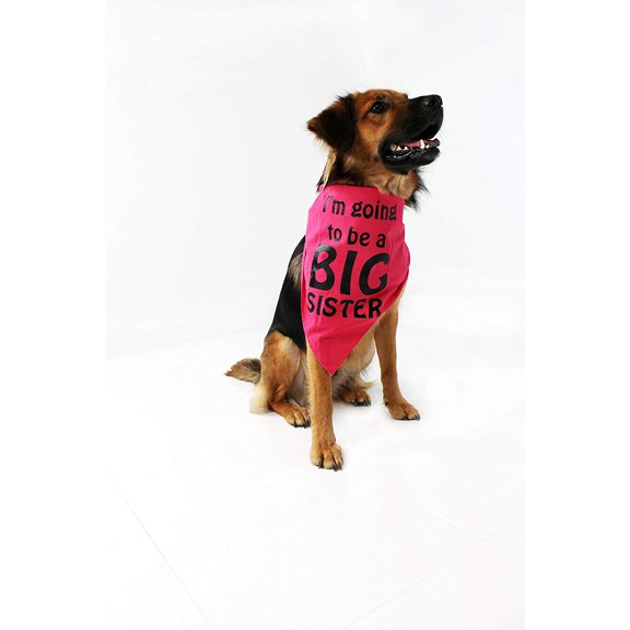 Midlee I'm Going to be a Big Sister Dog Bandana (Large)