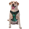 thumbnail image 1 of Honeii Green Gold Glitter for Dog Harness,A Three-Buckle Adjustable Dog Vest, Medium-Sized Dogs-X-Large, 1 of 6