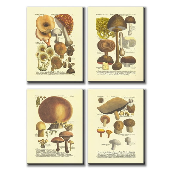 TEXTURE OF DREAMS 12" x 16" French Vintage Botanical Print on Canvas Wall Art Set Canvas Print Giclee Printing Artwork Wall Decor Ready to Hang Mushroom Fungus Illustration Home Decoration, 4-Pack