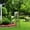 C1_Black 31.49in, variant on ERTZAE Obelisk Trellis For Climbing Plants,Tower Obelisk Garden Trellis,Indoor Vines Flower Support,Adjustable Heights,Potted Vines Support,Rose Trellis Tower,Black 31.49in Plant Trellis Rustproof