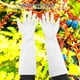 thumbnail image 5 of Guantes Largos de Poda ANGGREK Jardinería Pinchazos Cuero Resistente Al Desgaste Blanco M, 5 of 5