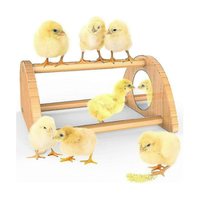 Mini Chick Perch With Mirror, Strong Bamboo Roosting Bar For Coop And Brooder, Training Perch For Baby Chicks S