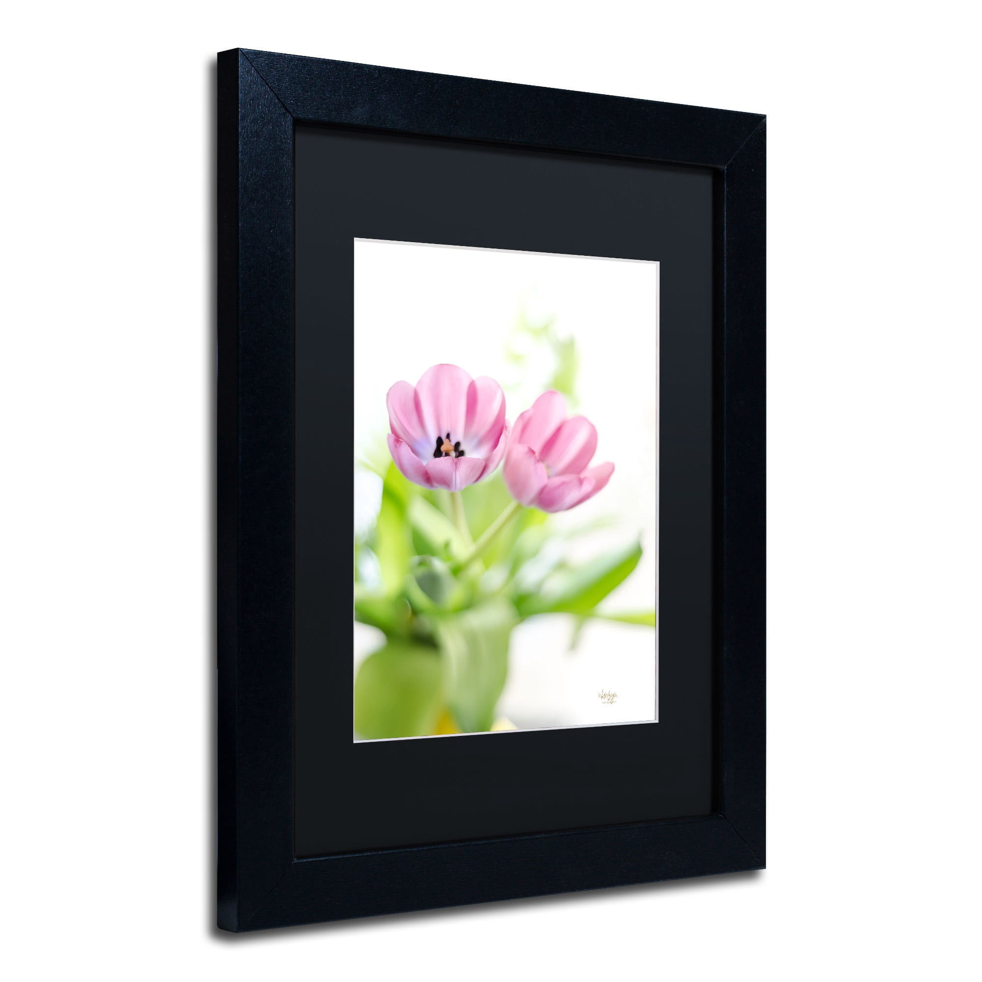Trademark Fine Art "Pink Tulips Drenched in Light" Canvas Art by Lois Bryan, Black Mat, Black Frame
