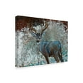 thumbnail image 2 of Trademark Fine Art 'Deer I' Canvas Art by Cecile Broz, 2 of 3