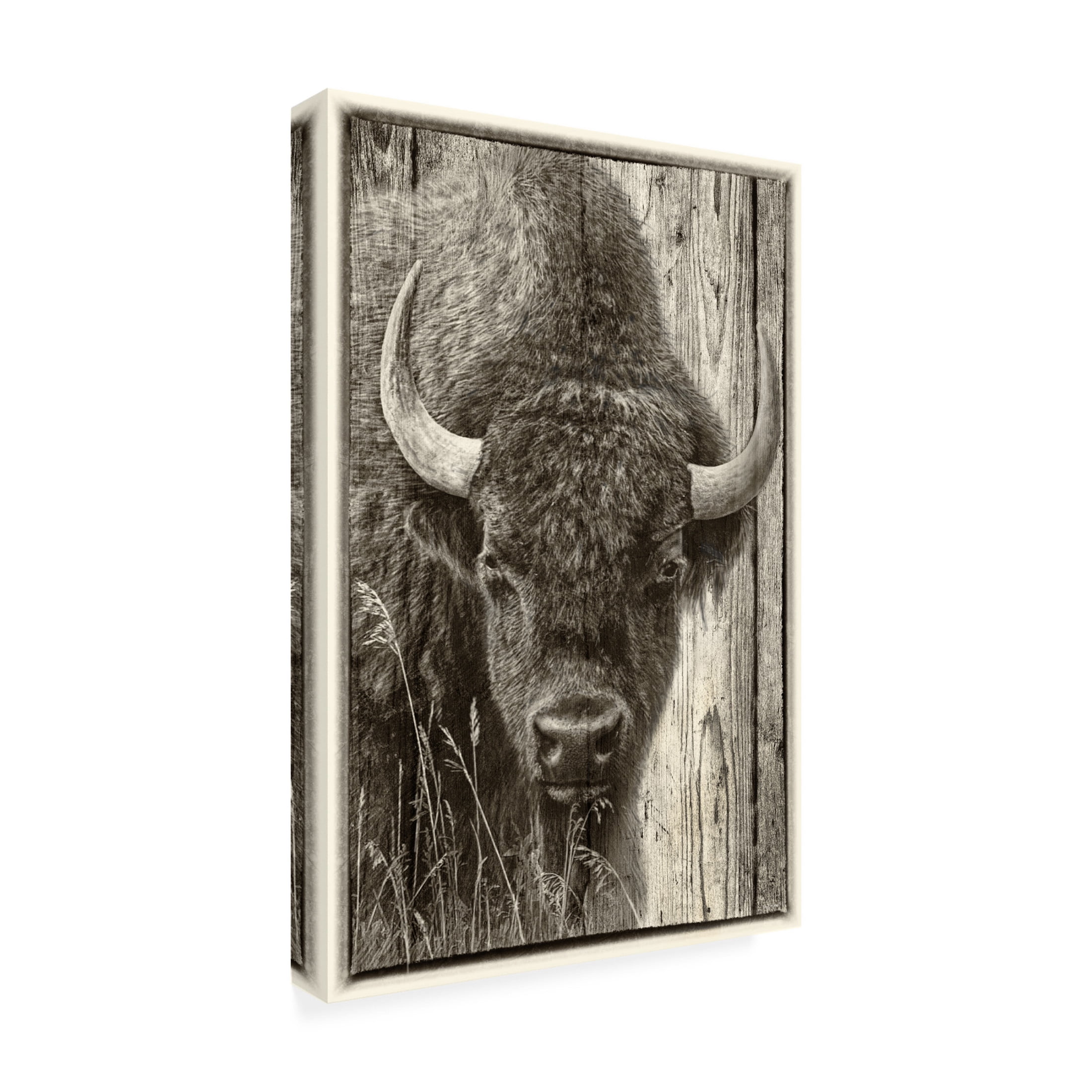 Canvas Wall Art - Gordon Semmens 'Woodgrain Antiques 3' Wall Art for Living Room, Bedroom, or Office Décor by Trademark Fine Art - 22 x 32 Inches