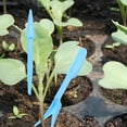 thumbnail image 4 of SEWCHICS Garden Tool Kit Gardening Tool Hole Punching Sky-Blue PP 12 Sets, 4 of 8