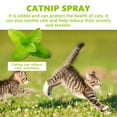 thumbnail image 3 of RAGUPEL 2026 New Cat Spray, Catnip Spray for Indoor Cats, Cat Anxiety Relief, Anti Scratch Cat Spray, Cat Calming Spray for Calming, Stress Relief, Behavior Control, Indoor Cats, Pet Care, 3 of 7