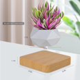 thumbnail image 4 of Maceta de bonsái de aire levitante, maceteros de flores de rotación, maceta flotante de suspensión de levitación magnética, decoración de escritorio de plantas en macetas en dos piezas, 4 of 5