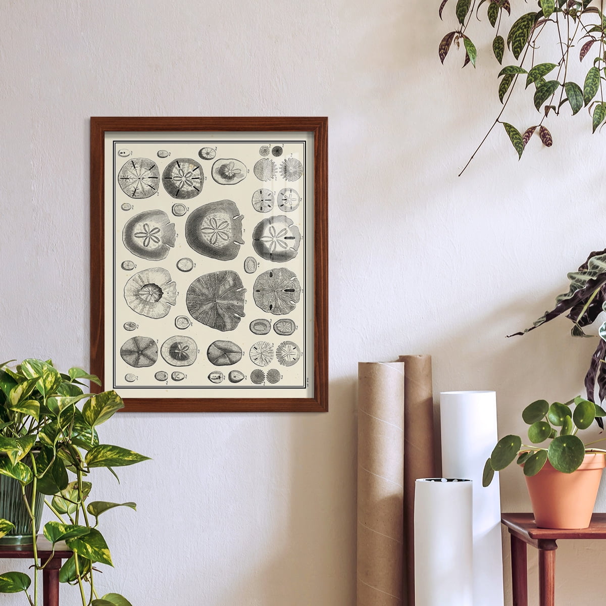 Aegean Collection II -Framed Print w/glass-Chestnut