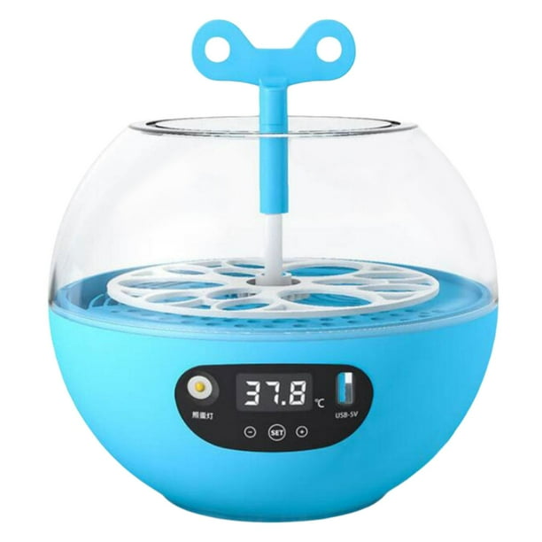 Incubadora de huevos automática, volteadora de huevos, incubadora de huevos de aves de corral Digital para codorniz
