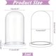 thumbnail image 2 of Campana de cristal decorativa con base de madera blanca., 2 of 6