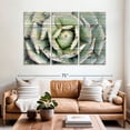 thumbnail image 2 of Elephant Stock Rustic Agave Wall Art - Horizontal Multi Panel Canvas - Living Room Wall Decor - Floral And Botanical Multi Panel - Blue And Brown Decor - 65" x 42", 2 of 8