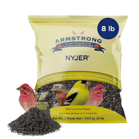 Armstrong Bird Food Nyjer Bird Seed, 8 Pounds - for American Goldfinches, House Finches, Purple Finches and Black-Capped Chickadees - Ideal for Outside Feeders