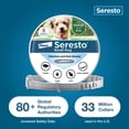 thumbnail image 4 of Seresto Flea & Tick Collar For Dogs Up to 18 lbs., Vet-Recommended, 8 Month Protection, 4 of 7