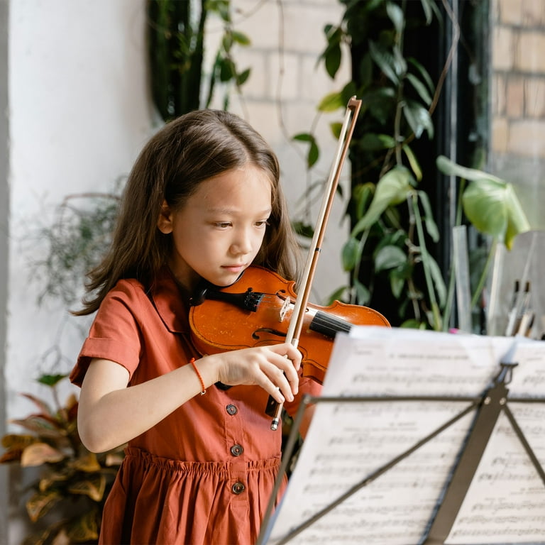 AW 4/4 Full Size Solid Wood Violin Starter Kit - Matte Stradivari Style With Case, Bow, Rosin & Shoulder Rest