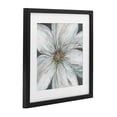 thumbnail image 2 of Stupell Industries Transitional Large White Flower Closeup Black Framed Print Under Glass, 13 x 13, by Carol Robinson, 2 of 8