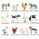 thumbnail image 5 of de 12 Piezas de Animales de Juguete, de Animales, de Juguetes de Animales de Granja, Adornos para Tartas para Niños, Niñas, R, 5 of 8