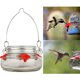 thumbnail image 5 of Nature's Way Bird Products MJF1 Nature's Way Mason Jar Comedero para platos de colibrí, transparente, 5 of 5