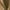 Khaki, variant on Mens Short Sleeve Button Up Men Summer Shirts Button Up Mens Shirts Short Sleeve Summer Dress Shirt Sales Today Clearance