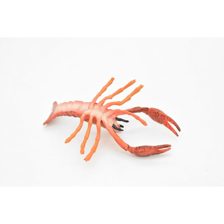 Crayfish Toy, Crawfish, Crawdads, Very Realistic Rubber Figure, Model, Educational, Animal, Hand Painted Figurines, 4 inch CH045 BB76