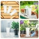 thumbnail image 2 of BRIGHTFUFU 4 juegos de maceta transparente para orquídeas con platillo, maceta transpirable para flores, maceta para jardín, maceta transparente para lactancia de plantas, 2 of 8