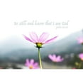 thumbnail image 3 of Villa, Mlli 24x17 Black Modern Framed Museum Art Print Titled - I Am God, 3 of 5