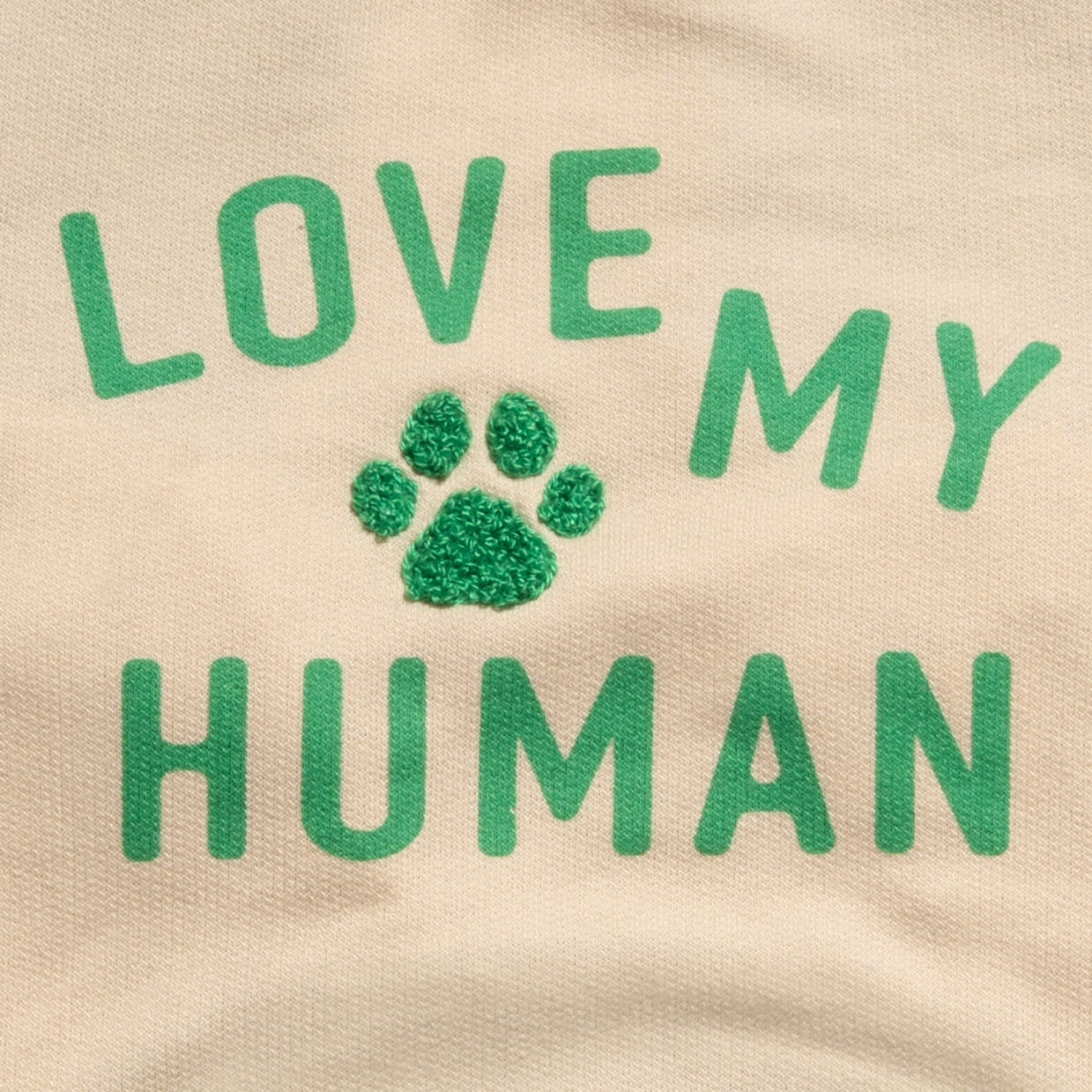 Oodles Blue Love My Human Spring Raglan Dog T-Shirt, Small