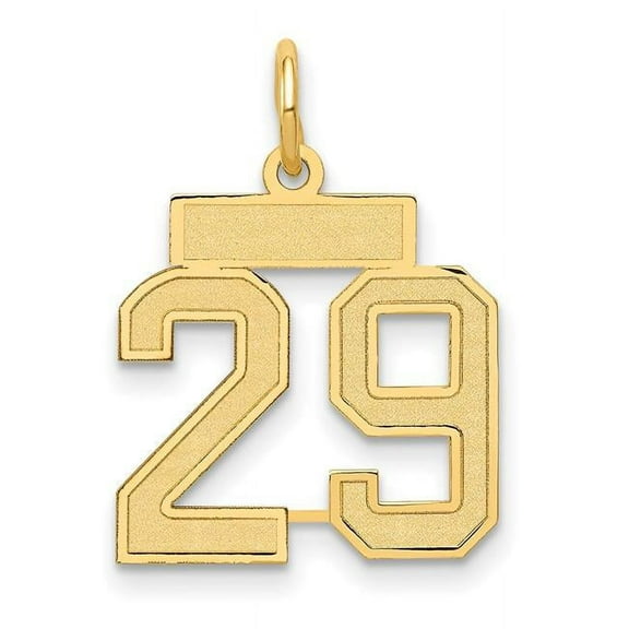 14k Yellow Gold Satin Brush Finish Small Size Number 29 Charm Pendant