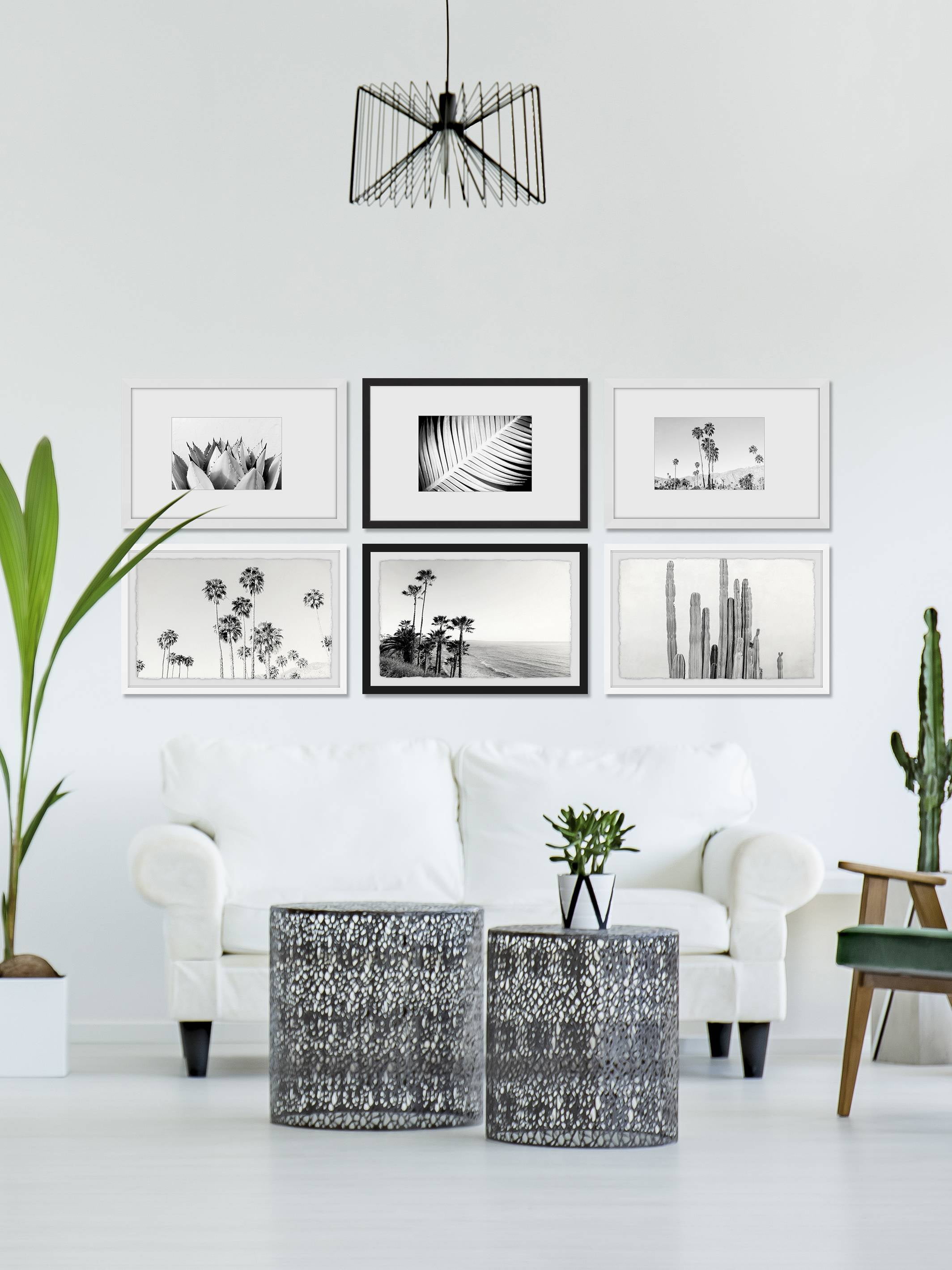 Black and White Summer Hexaptych