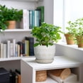 thumbnail image 2 of Ceramic Planters for Indoor Plants - 5 Inch Plant Pot for Outdoor Plants Succulent Planter with Drainage Hole and Saucer Flower Pot for Room Decor White, 2 of 14