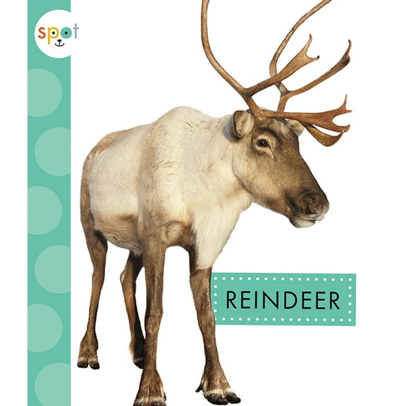 Spot Arctic Animals Reindeer, (Paperback)