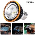 thumbnail image 1 of Reptile Light Creative Reptile Sun Lamp Sun Basking Lamp Amphibian Lamp, 1 of 10