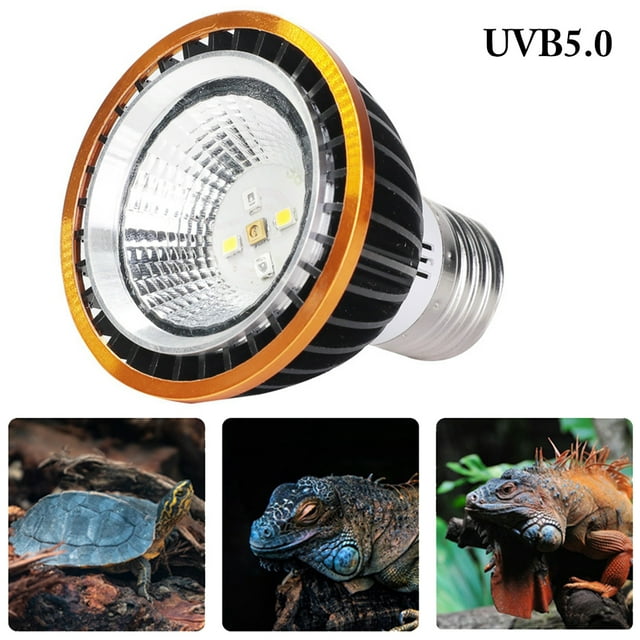 Reptile Light Creative Reptile Sun Lamp Sun Basking Lamp Amphibian Lamp