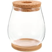 Shengji Glass Terrarium Plant Holder with Cork Top for Hydroponic Plants and Home Decor