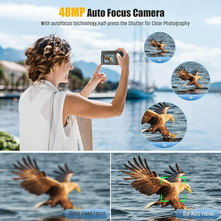 Wildlife Photography Eagle Eyes Autofocus Canon 6d Mark Ii