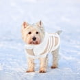 thumbnail image 3 of Pet clothing Autumn and winter creative imitation deerskin lamb clothes743, 3 of 6