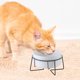 thumbnail image 4 of Laklulu Cuencos elevados para gatos de interior – Cuenco de comida y soporte para gatos y perros con soporte de alambre de metal elevado, 4 of 5