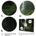 thumbnail image 3 of Designart "Olympic Greenery Forests of Olympic National Park II" Landscapes Floater Framed Canvas Art Print, 3 of 7