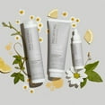 thumbnail image 6 of Paul Mitchell Clean Beauty Scalp Therapy Conditioner, 8.5 oz., 6 of 7
