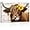 Cattle with Sunflower, variant on ZHONGYUTONG Highland Cow Canvas Wall Art Cute Cattle with Flower Poster Prints Western Animals Pictures for Country Farmhouse Kitchen Bathroom Decor (12.00" x 18.00")