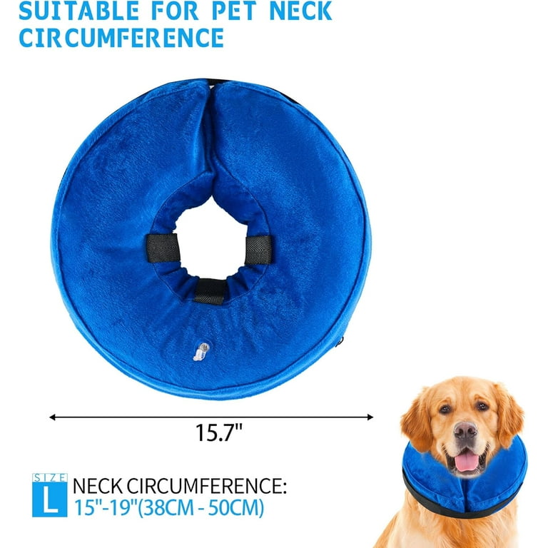 Bubble cone for dogs online